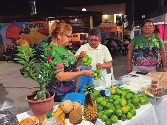 Feira de produtores com frutas e produtos regionais